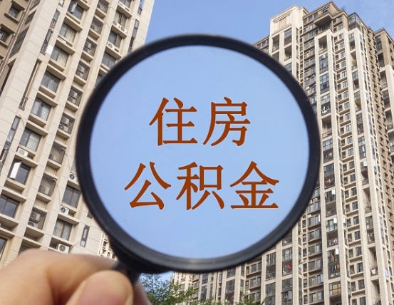 白山不小心把公积金提出来了（公积金误提了怎么办）